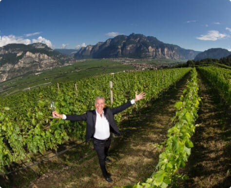 Vineyard in Italy